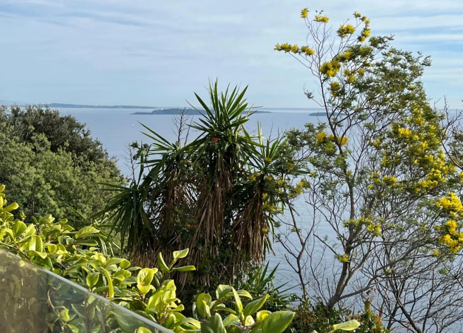 ベッド・アンド・ブレックファスト La Pastorale De Theoule Sur Mer フランス